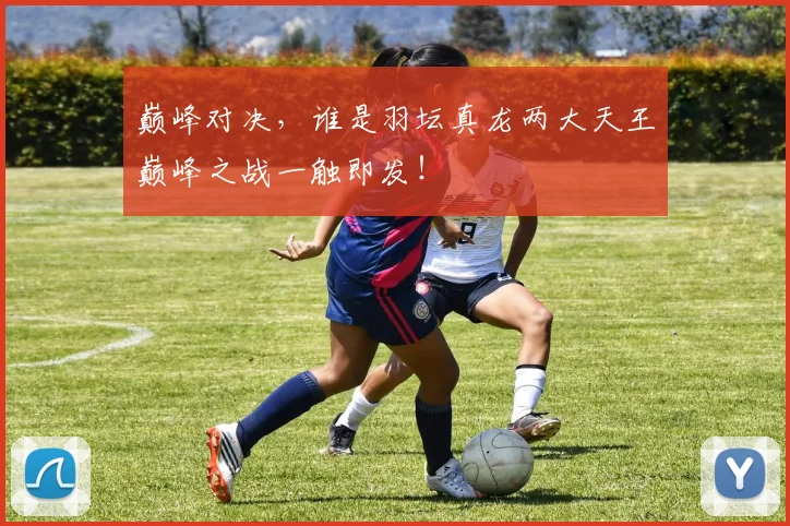 巅峰对决，谁是羽坛真龙两大天王巅峰之战一触即发！
