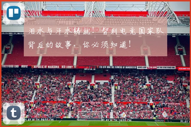 泪水与汗水铸就！智利电竞国家队背后的故事，你必须知道！