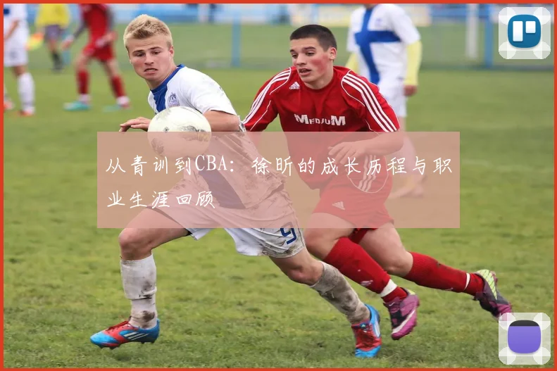 从青训到CBA：徐昕的成长历程与职业生涯回顾
