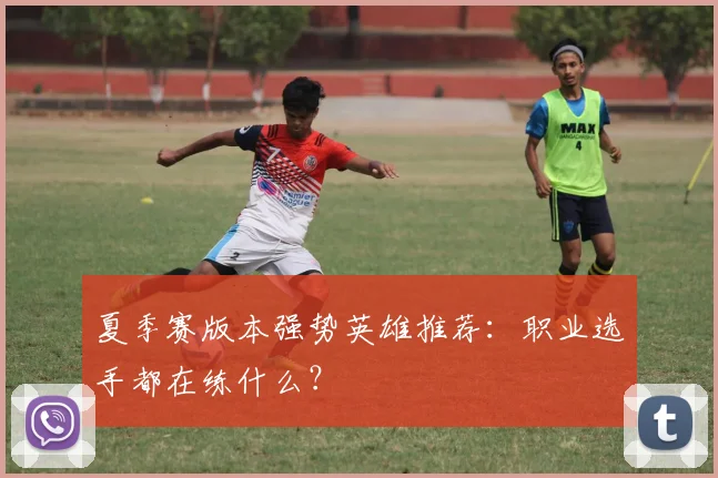 夏季赛版本强势英雄推荐：职业选手都在练什么？