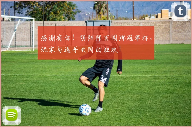 感谢有你！阴阳师百闻牌冠军杯，玩家与选手共同的狂欢！