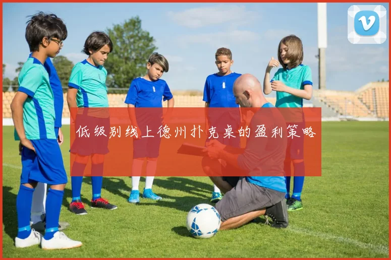 低级别线上德州扑克桌的盈利策略