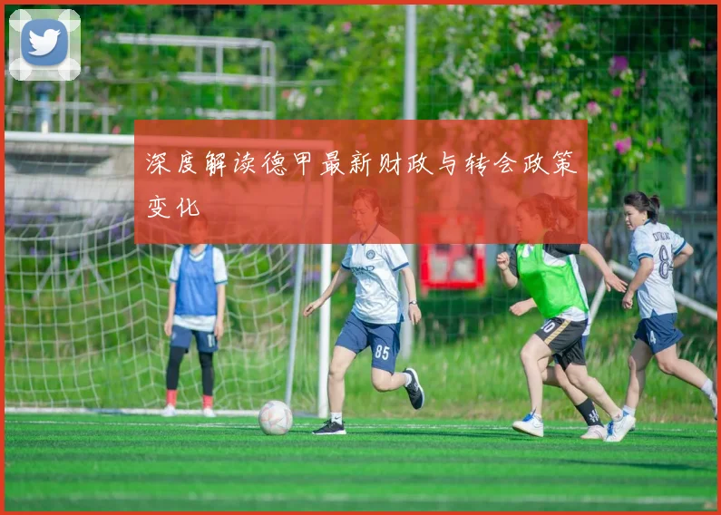 深度解读德甲最新财政与转会政策变化