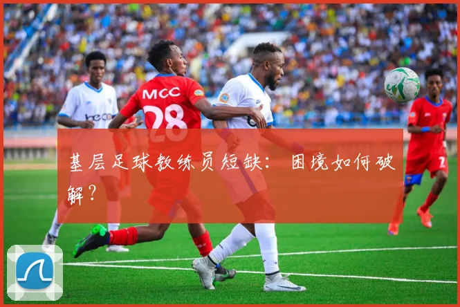 基层足球教练员短缺：困境如何破解？