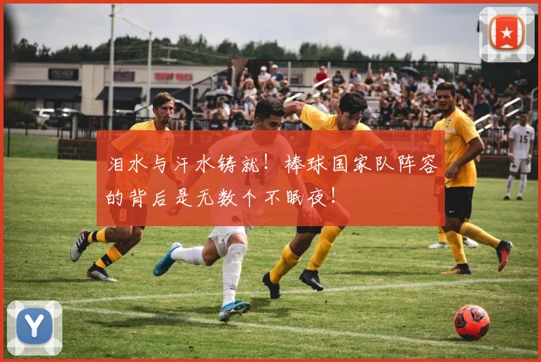 泪水与汗水铸就！棒球国家队阵容的背后是无数个不眠夜！